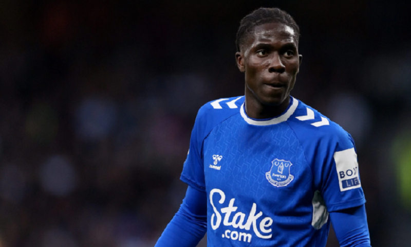 amadou-onana-everton